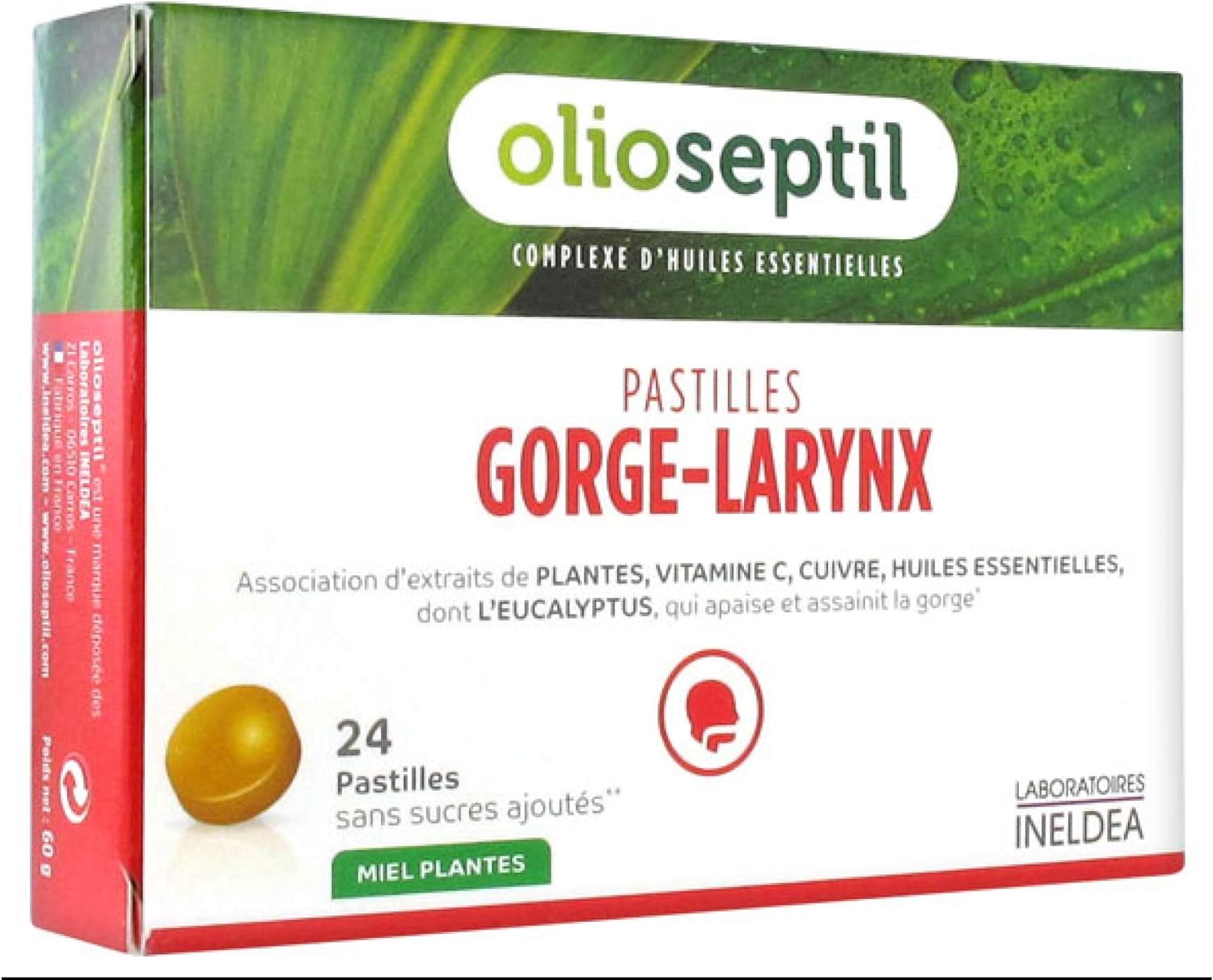 OLIOSEPTIL® - Throat-Larynx Sucking Lozenges - Soothes and Sanitizes Throat - No Added Sugars - Plant Extracts, Vitamin C, Copper and Essential Oils - 24 Lozenges - Eucalyptus Honey Taste : Amazon.com.be: Health & Personal Care