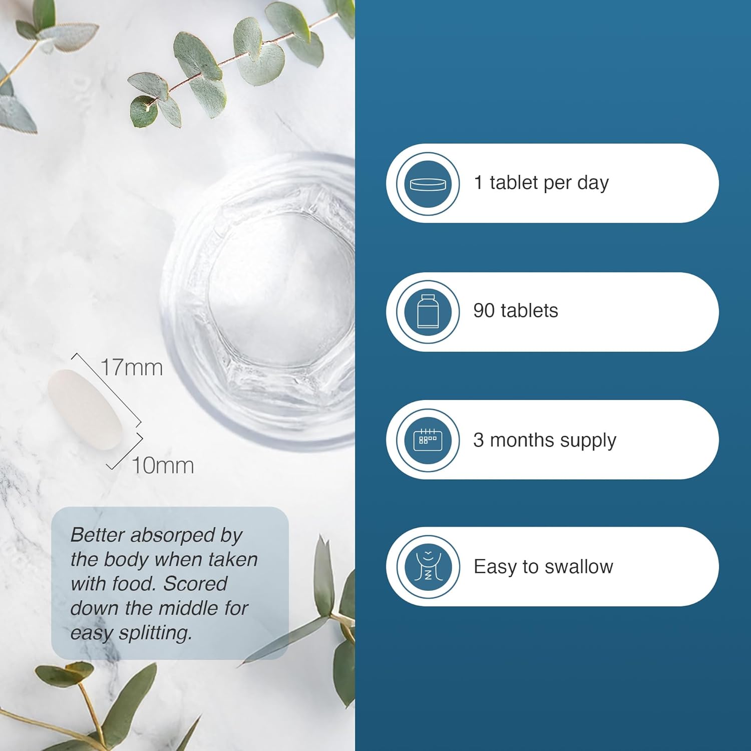 Zipvit Magnesium 500mg, 90 Vegan Tablets, High Strength Magnesium Supplement, Supports Bones and Teeth, Muscle Energy, Reduces Tiredness and Fatigue, 3 Month Supply : Amazon.co.uk: Health & Personal Care