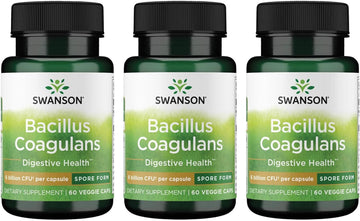 Swanson Bacillus Coagulans - Natural Probiotic Supplement Supporting Digestive Health W/ 6 Billion Cfu - May Support Gi & Overall Gut Health - (60 Veggie Capsules)