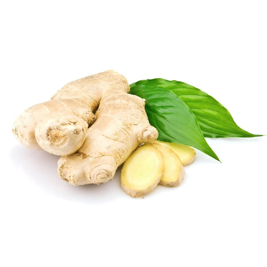 Ginger Tea 3-Pack 100% Pure Root (90 Premium Bags) All-Natural Caffeine Free Herbal Tea