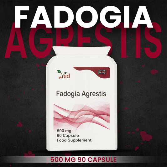 Ved Fadogia Agrestis, 20:1 Stem Extract, Muscle Growth - Muscle Recovery - Athletic Performance 90 Vegan Capsules (3 Months Supply)