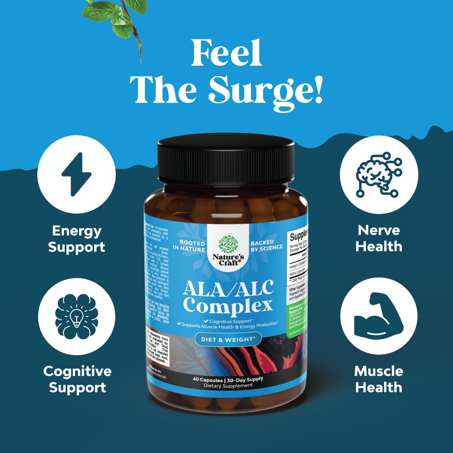 ALC and Alpha Lipoic Acid Supplements - Acetyl l-carnitine Alpha Lipoic Acid Antioxidant Supplement - Essential Fatty Acids for Skin Care Health AMPK Activator and Metabolism Booster for Weight Loss : Health & Household