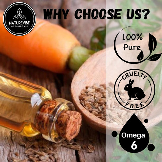 Naturevibe Botanicals Carrot Oil 32 Ounces Cold Pressed 100% Pure & Natural Unrefined Oil | Great for Skin, Nails & Hair | Non-Greasy Face & Body Moisturiser (946 ml)