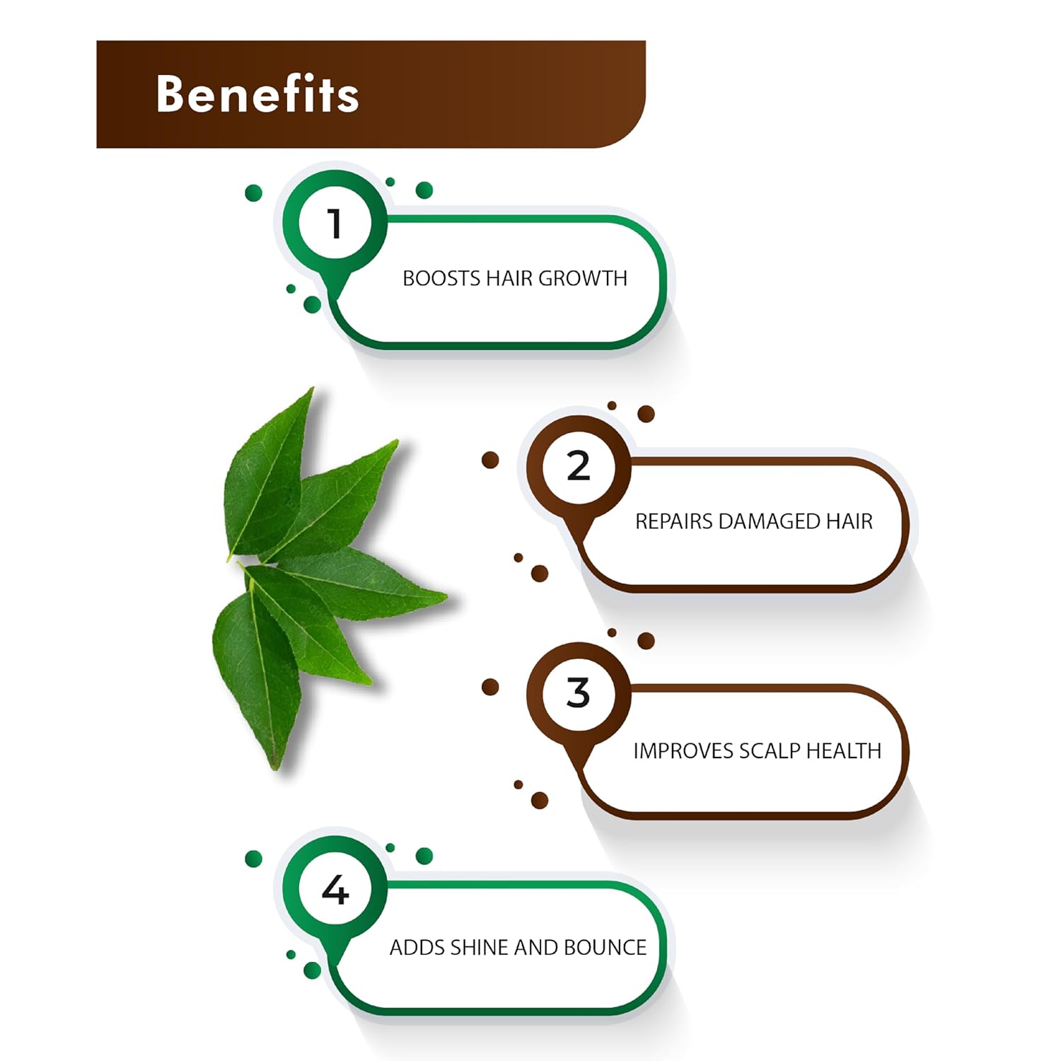 100% Natural Curry Leaves Powder- 227G (0.5 Lb) For Hair Care Formulation- Known To Hair Growth Benefits : Beauty & Personal Care