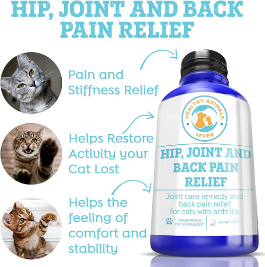 Healthy Animals 4 Ever Arthritis Remedy For Cats - Restore Energy & Vitality - Support Hip & Joint Health - Minimize Pain - All-Natural, Non-Gmo, Organic - Preservative & Chemical Free - 300 Ct