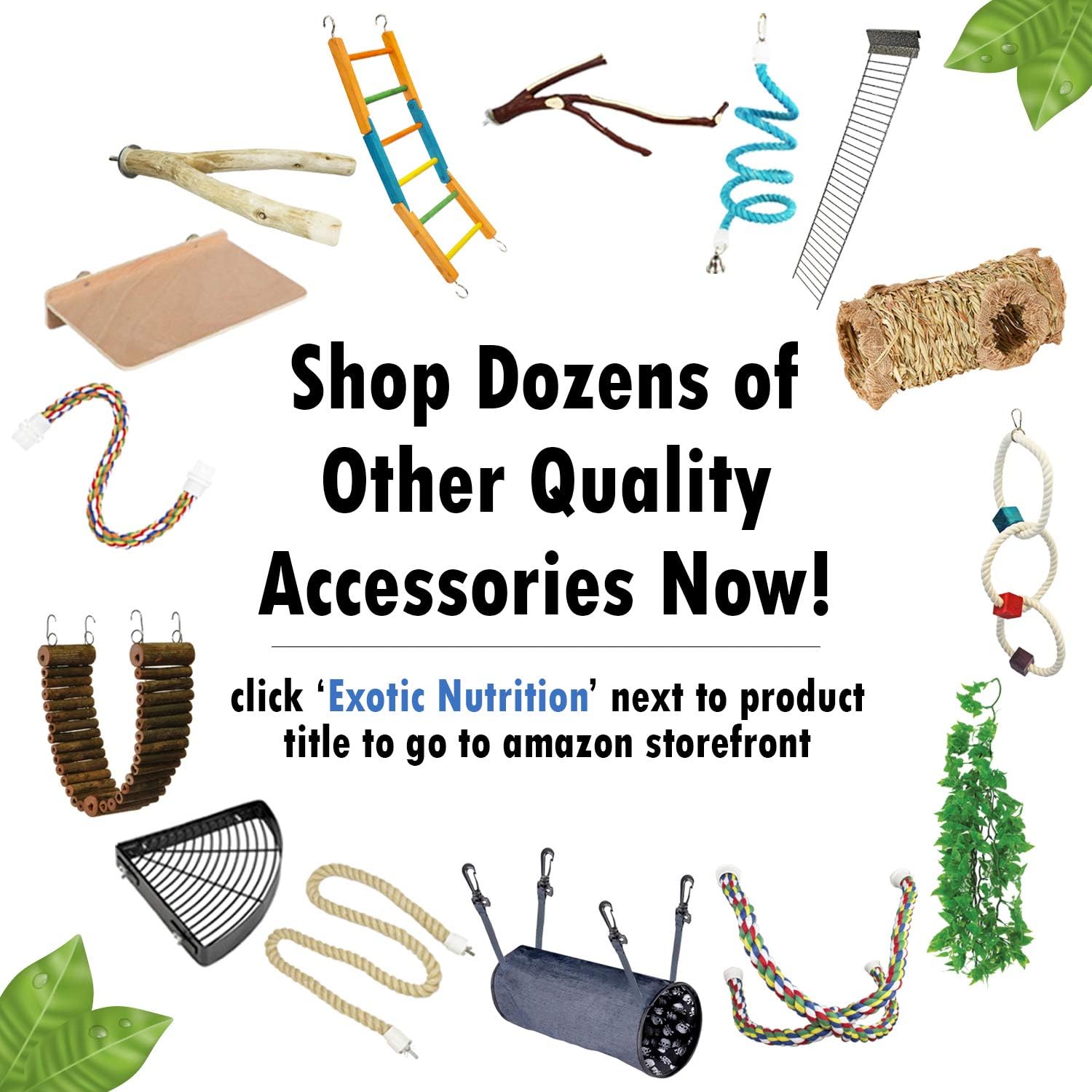 Exotic Nutrition Sandy Branch (Forked) - Durable Multi-Branch Nail Trimming Perch Stand Cage Accessory - Sugar Gliders, Squirrels, Degus, Marmosets, Monkeys, Parrots, Birds, Rats & Other Small Pets : Pet Supplies