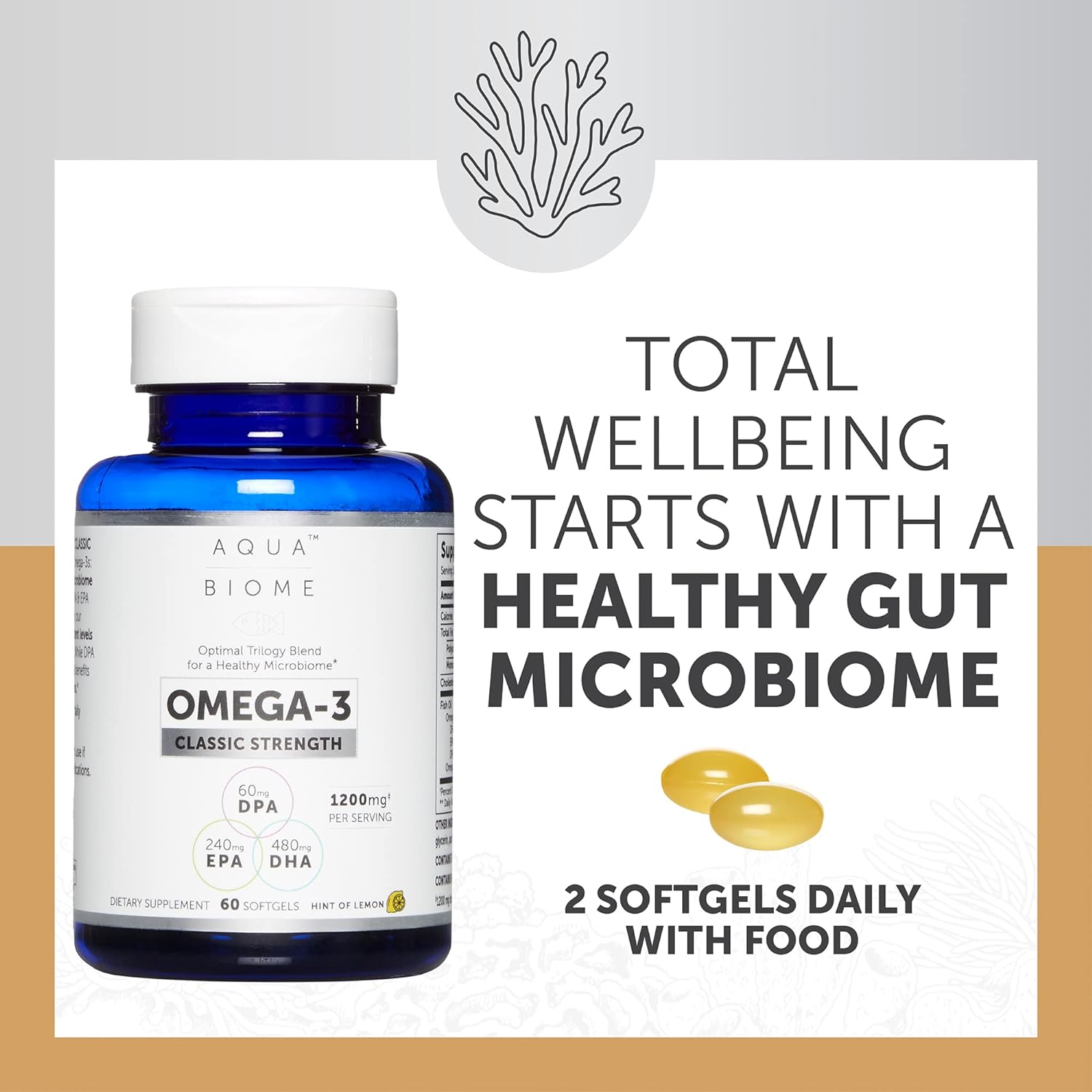 Aqua Biome by Enzymedica, Classic Strength Omega 3 Fish Oil, 60 Softgels : Health & Household