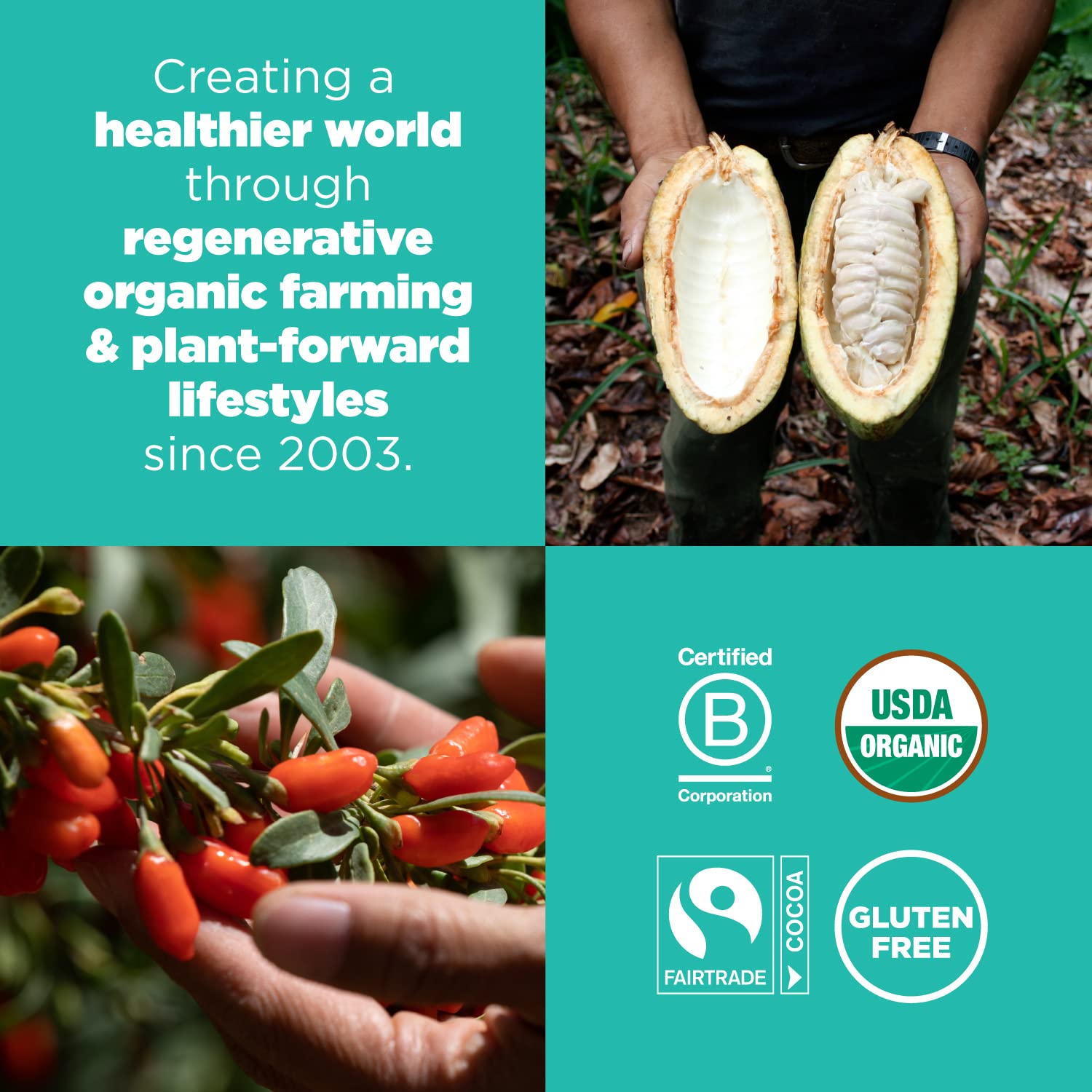 Navitas Organics Superfood Power Snacks, Cacao Goji, 8 Oz. Bag, 11 Servings β Organic, Non-Gmo, Gluten-Free