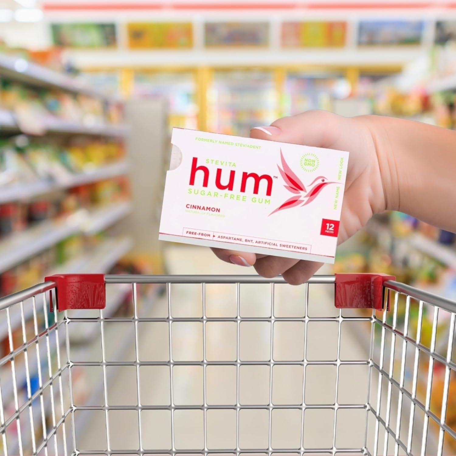 Stevita Hum, Cinnamon - Sugar-Free Gum - 12 Pieces, Pack of 12 - Supports Oral Health -, Non-GMO, Vegetarian, Keto, Gluten Free - 72 Total Servings : Vitamins : Grocery & Gourmet Food