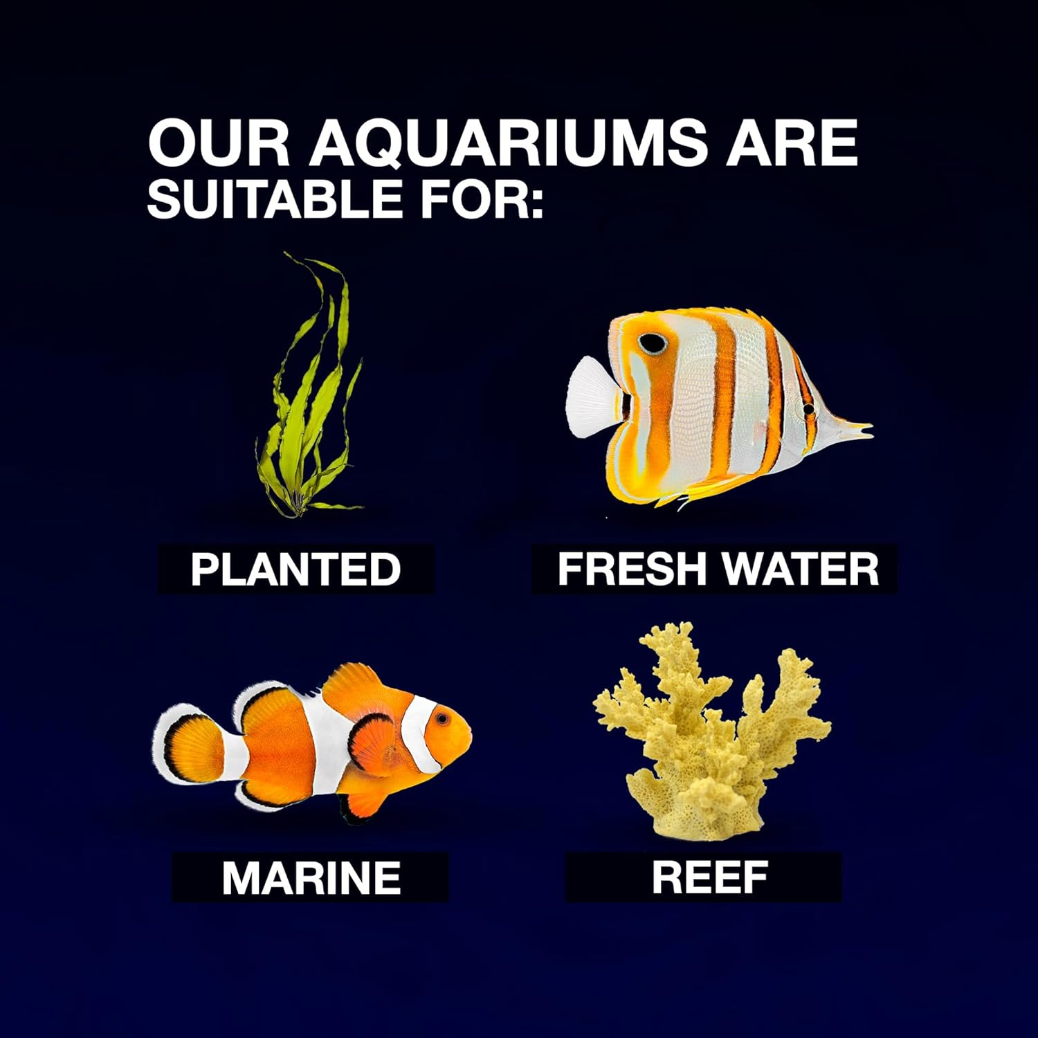 Cobalt Aquatics Microvue3 Aquarium Kit - 2.6 Gallon, White/Black - Includes Filter, Led Light, Glass Top & Foam Pad - For Nano Reefs & Planted Tanks