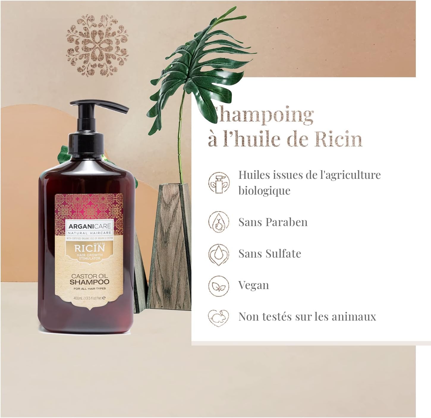 Arganicare | Shampoo 400 Ml + Conditioner 400 Ml + Castor Serum 100 Ml | Growth Accelerator | Soothes The Scalp | Nourishes And Strengthens The Scalp | Strong And Shiny Hair