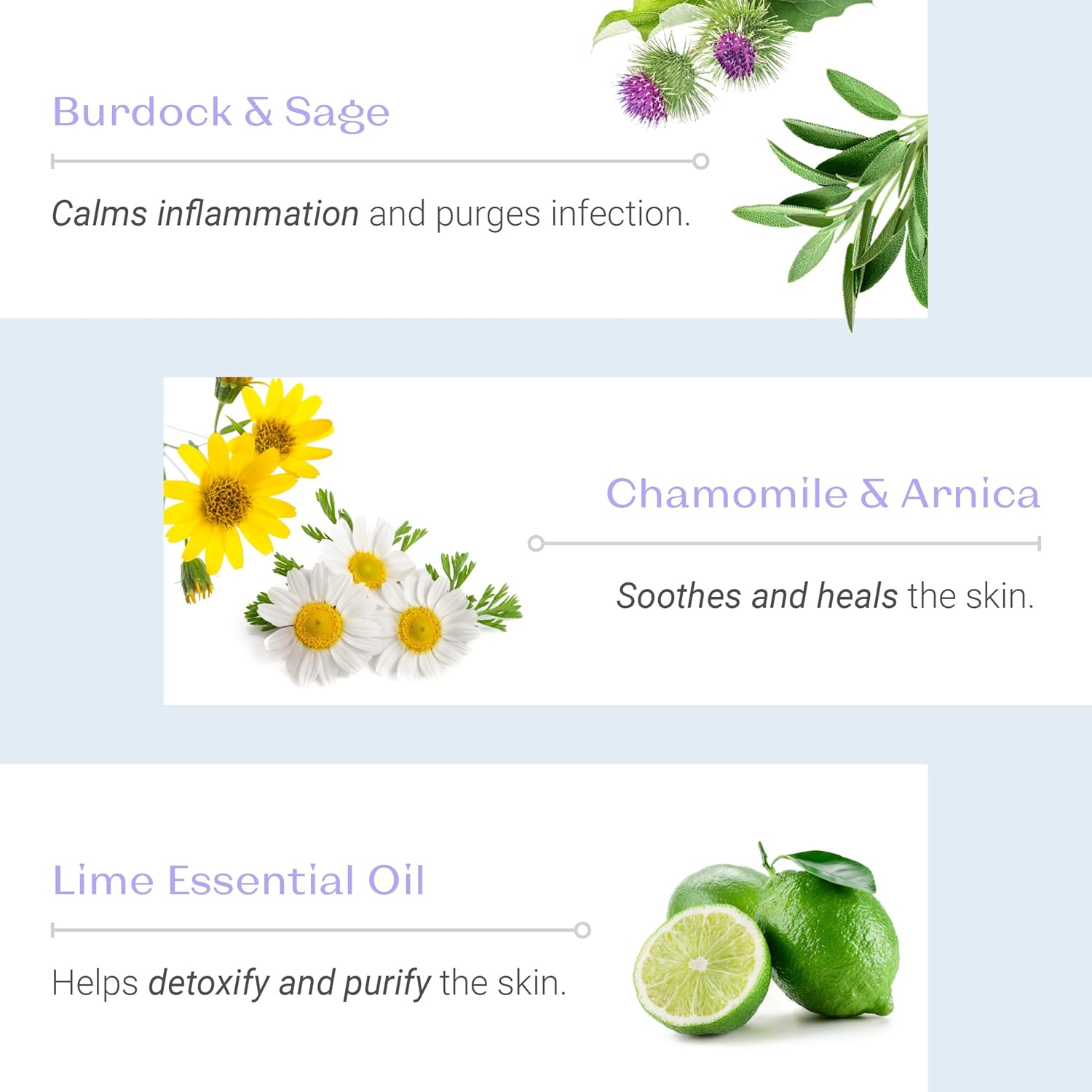 Yon-Ka Specifics Creme 15 (50Ml) Acne Treatment Cream To Purify And Balance Blemish Prone Skin, Soothe Irritation With Chamomile, Paraben-Free : Beauty & Personal Care