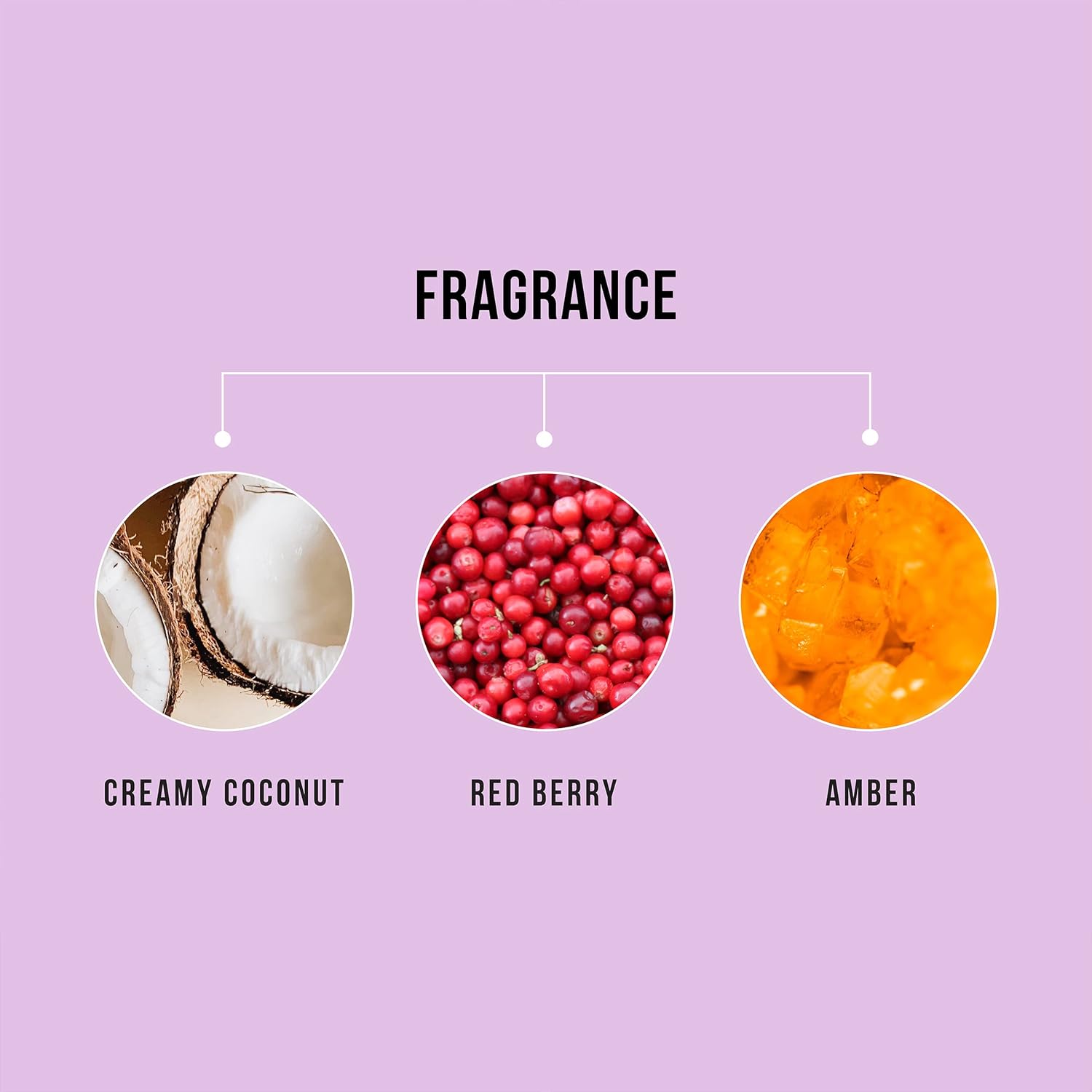 HASK CURL CARE Curl Defining Cream - vegan formula, cruelty free, color safe, gluten-free, sulfate-free, paraben-free : Beauty & Personal Care