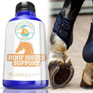 Healthyanimals4Ever All-Natural Horse Hoof Support Pellets - Horse Hoof Care Products For Damaged Or Injured Hooves - Hoof Supplements For Horses - Homeopathic & Highly Effective - 300 Tablets