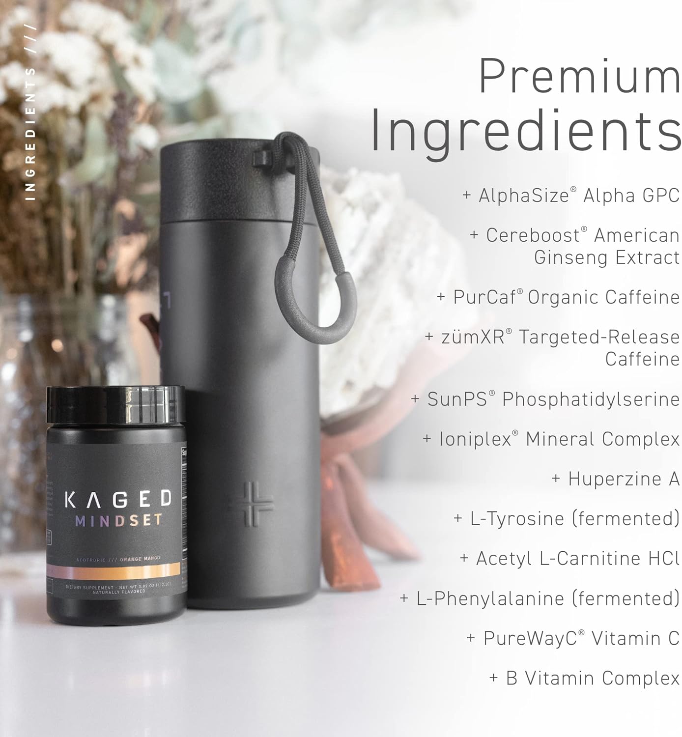 Kaged Nootropic Formula | Mindset | Focus and Productivity Supplement | Pure Caffeine | Enhances Memory, Mood, Clarity | 30 Servings : Health & Household