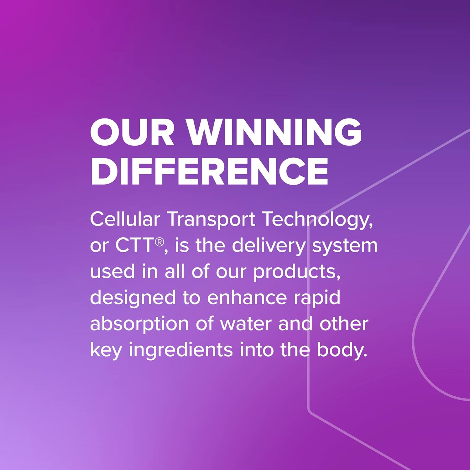 Liquid I.V.® Hydration Multiplier® +Sleep - Blueberry Lavender - Electrolyte Powder Drink Mix Packets | Convenient Single-Serving Sticks | Non-GMO |1 Pack (10 Servings) : Health & Household