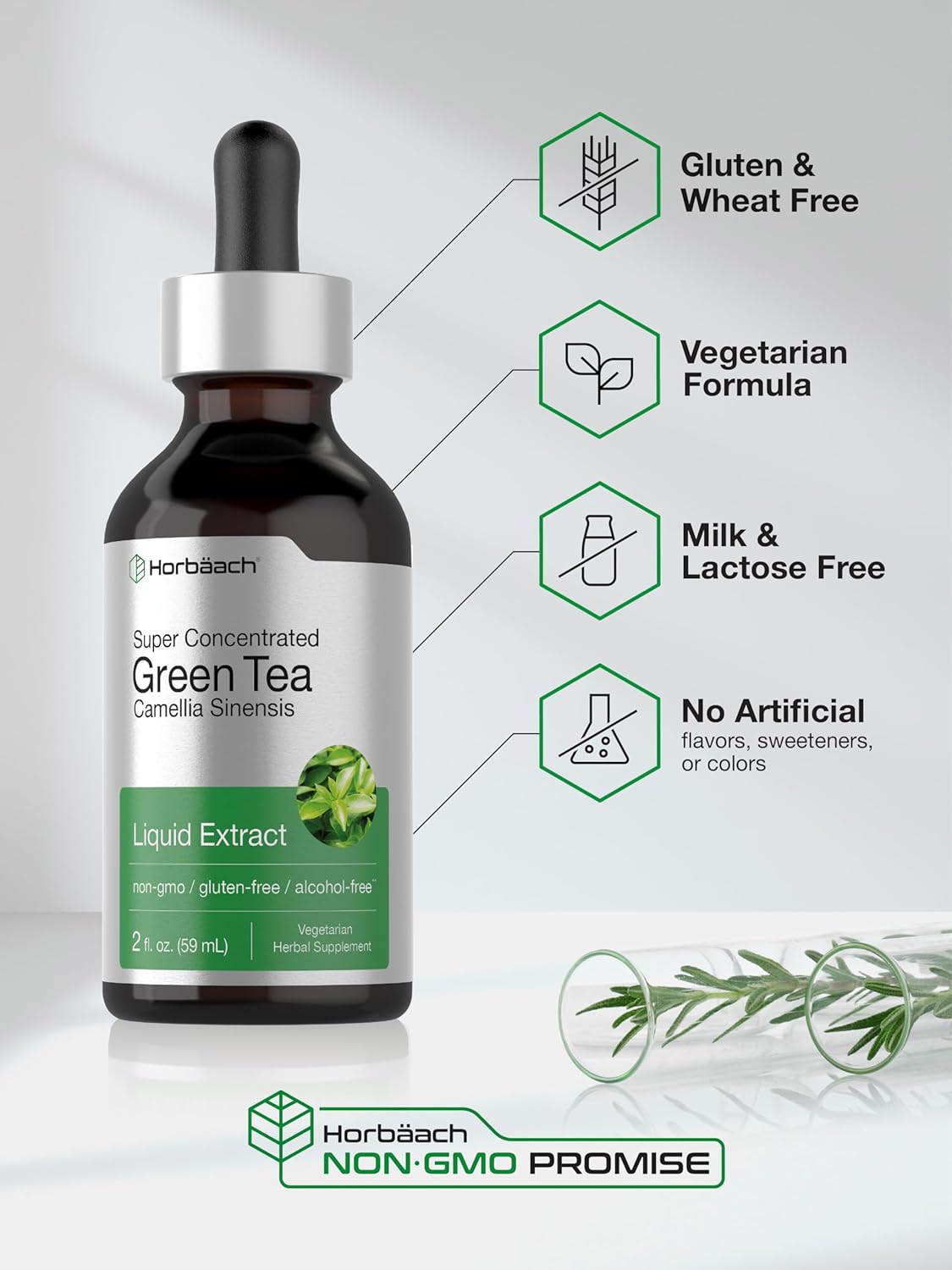 Horbäach Green Tea Extract Liquid | 2 Fl Oz | Alcohol Free, Vegetarian Tincture | Super Concentrated Supplement | Non-Gmo, Gluten Free