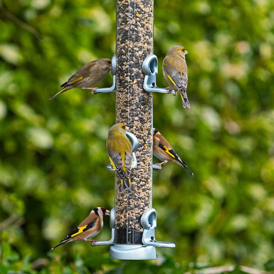 Jacobi Jayne Ring-Pull Click Large Seed Feeder, Zinc BirdRp3-S3Z