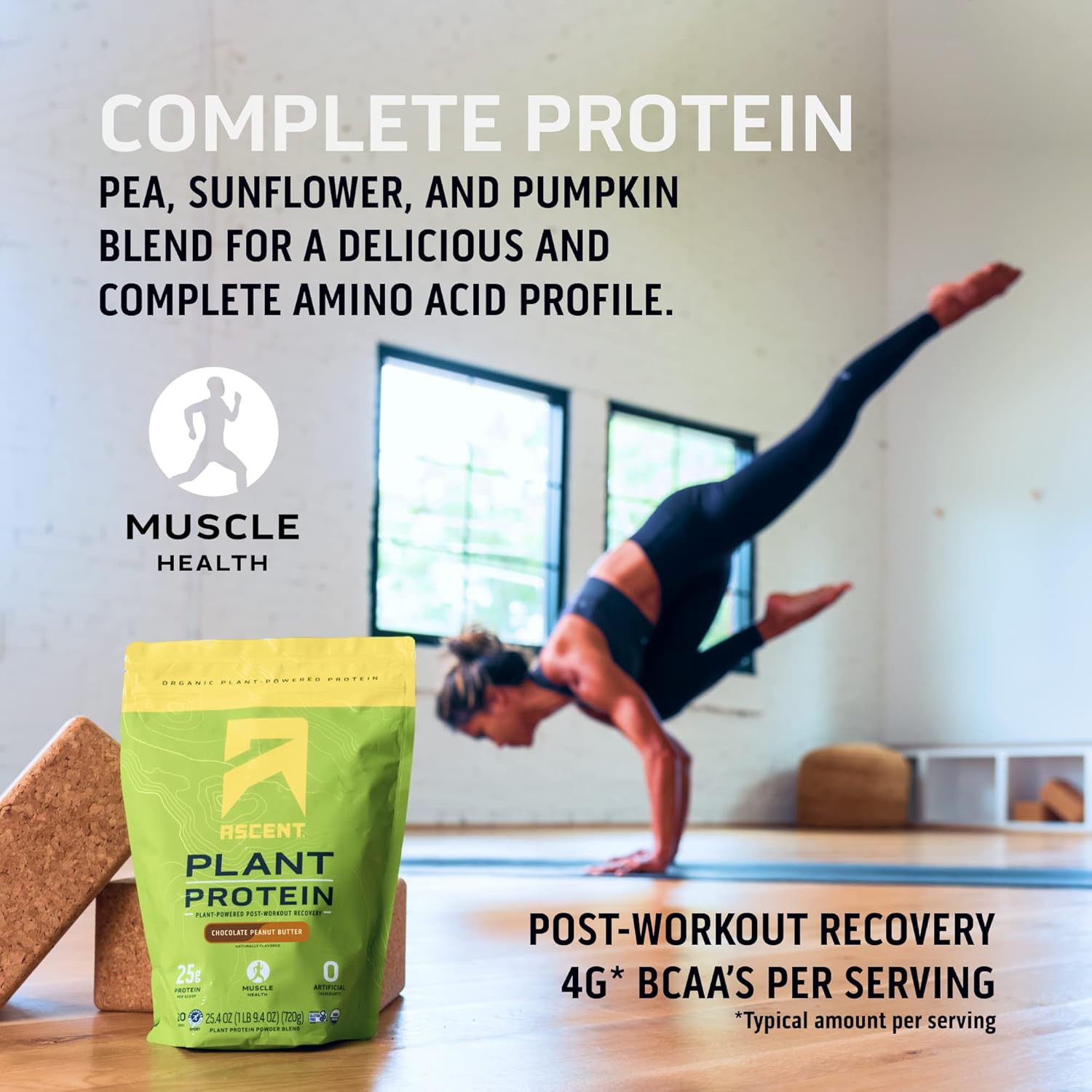 Ascent Plant Based Protein Powder - Non Dairy Vegan Protein, Zero Artificial Ingredients, Soy & Gluten Free, No Added Sugar, 4G Bcaa, 2G Leucine - Chocolate, 18 Servings : Health & Household