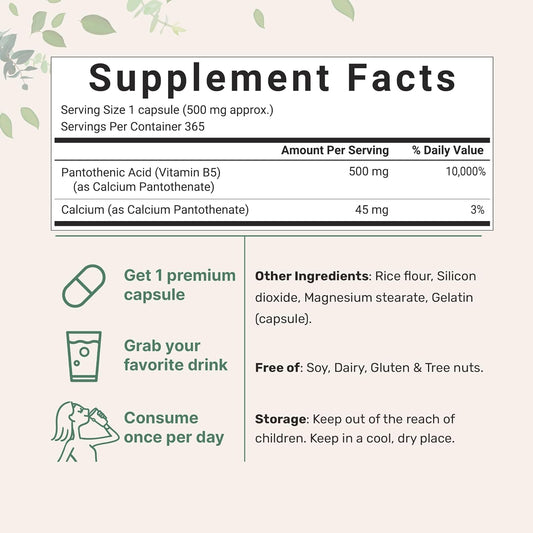 Micro Ingredients Pantothenic Acid Vitamin B5 Supplement, Vitamin B5 500Mg Per Count, 365 Capsules (1 Year Supply), B-Complex Vitamin, Support Energy Production And Nervous System, Non-Gmo