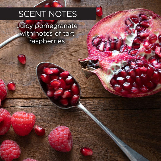 Whish Beauty Body Butter For Women - Moisturizing Body Lotion For Dry Skin - Antioxidant-Rich With Shea Butter, Aloe, & Raspberry Butter - Paraben & Sulfate Free - Pomegranate - 5 Fl Oz