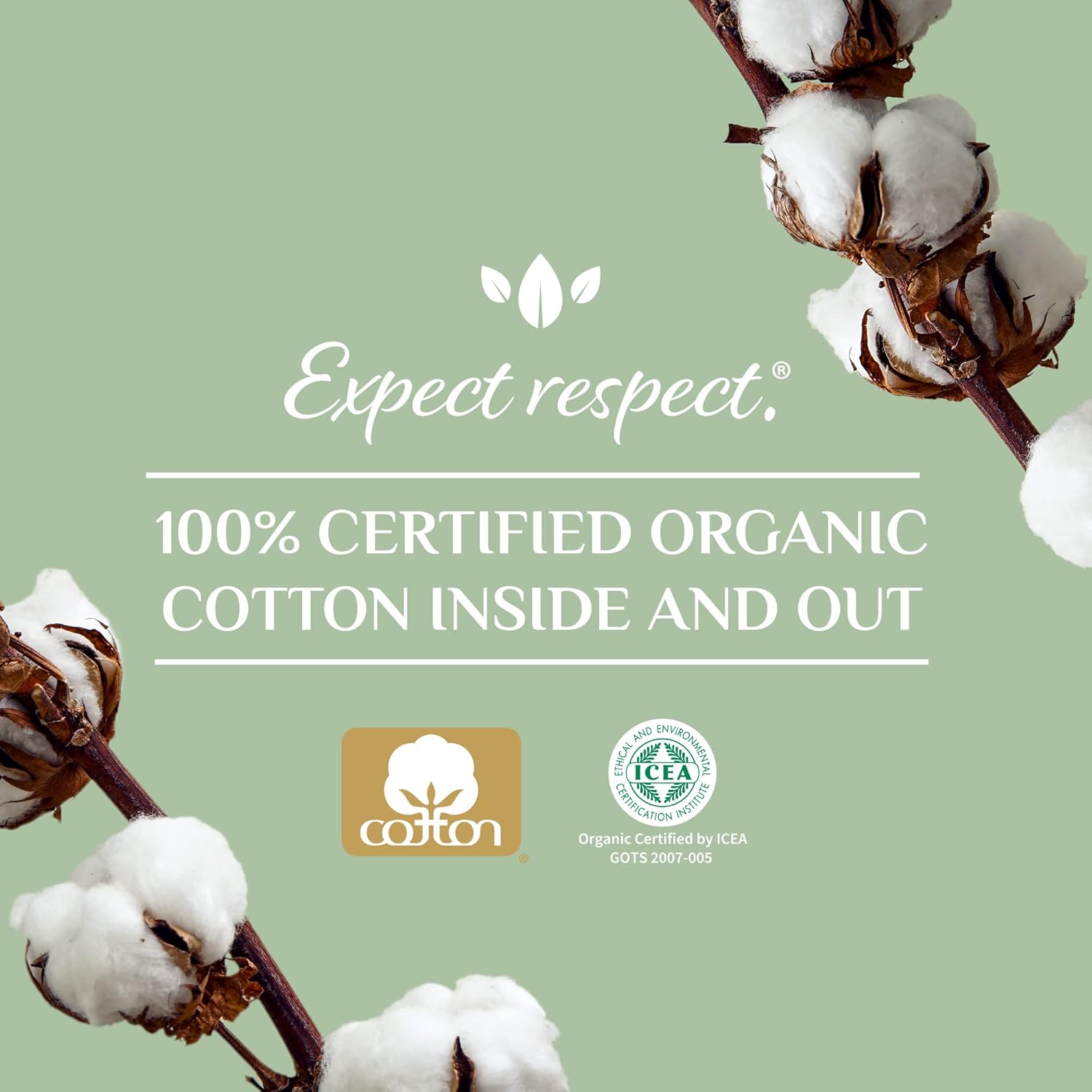 Organyc 100% Certified Organic Cotton Tampons, No Applicator, Super, 16 Count, White : Health & Household