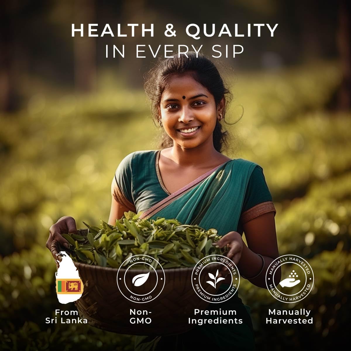 Gya Tea Co Classic Black Tea Pod (16 Ct) - High Caffeine Refreshed Tea For Morning Kick & All Day Energizing