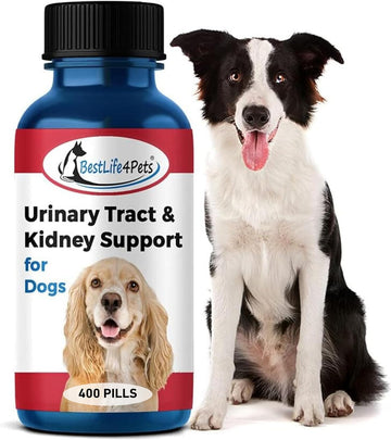 Bestlife4Pets Dog Uti Kidney Support - Natural Urinary Tract Infection Treatment – Renal And Bladder Control Supplement – Easy To Use Pills