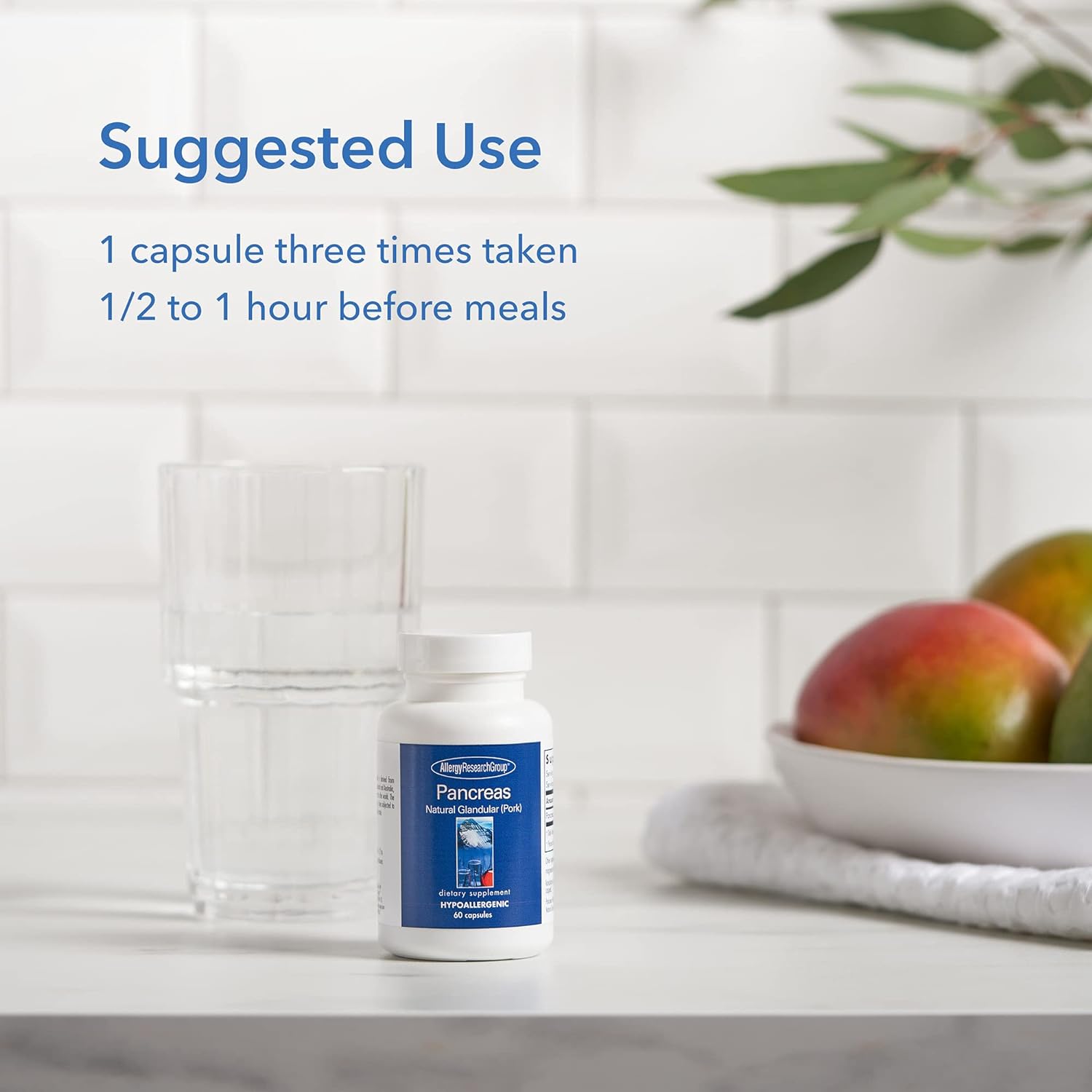 Allergy Research Group Pancreas Pork Supplement - Pancreas Natural Glandular, 425mg Pancreatic Enzymes, Digestive Enzymes for Pancreas, Amylase, Protease, Lipase, Hypoallergenic - 60 Count : Health & Household