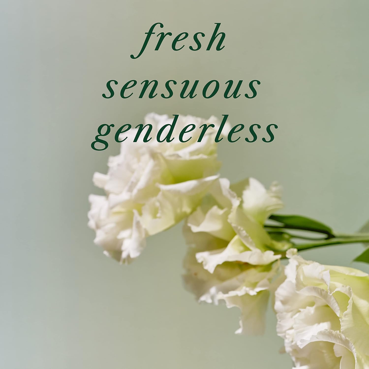 La'Dor Hair Perfume Oil For Dry Damaged Hair - Anti Frizz Nourishing Fragrance Gloss Oil Serum Leave-In Conditioner Hold Curls & Waves Free Of Sulfate Paraben Alcohol 2.7 Fl Oz 02 Hinoki Korean : Beauty & Personal Care