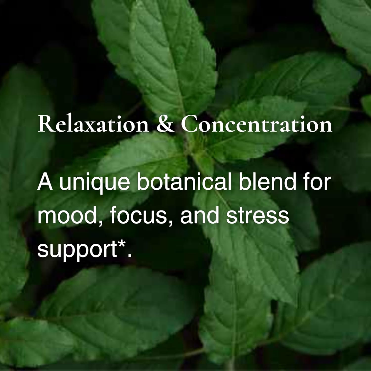Utzy Naturals Adapto-Calm | Stress Support Formula | With Ashwagandha, Tulsi Holy Basil, And Passionflower | 60 Capsules : Health & Household