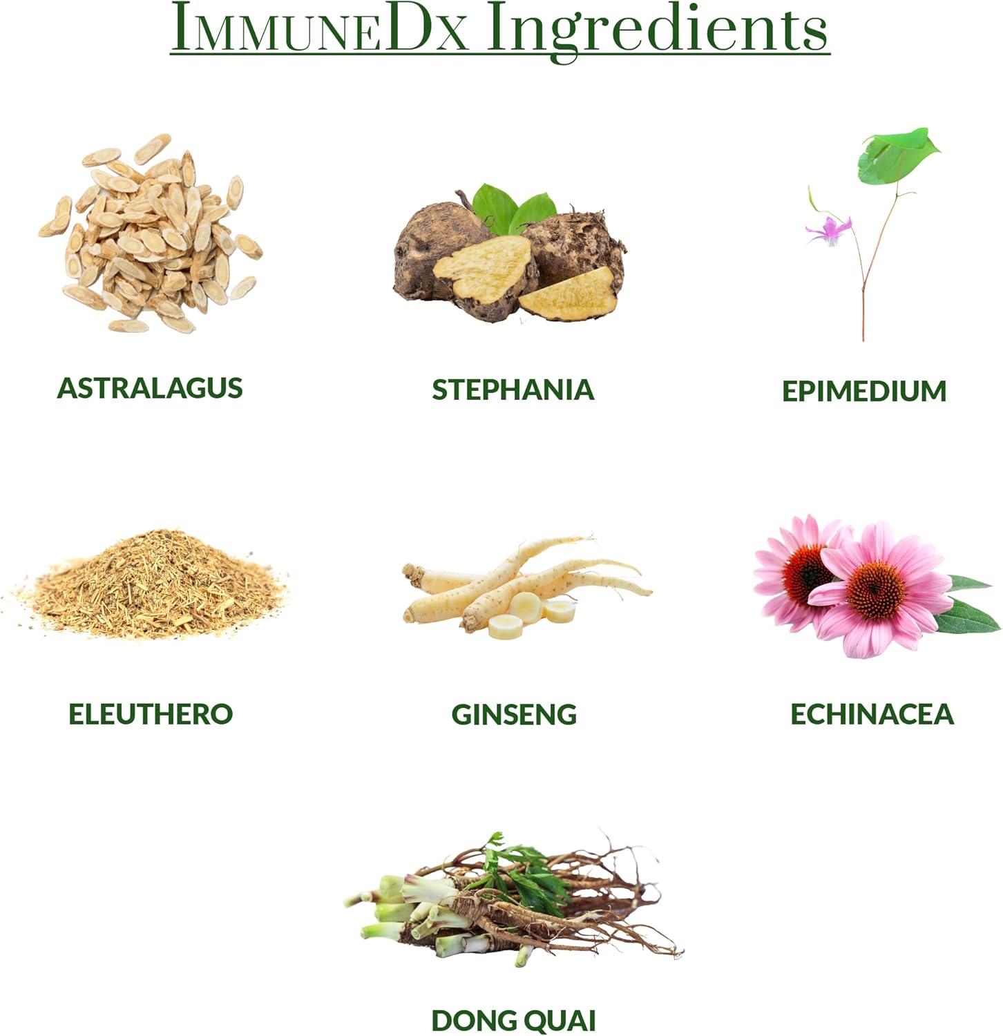 Plantiva Immunedx Healthy Immune Boost Daily Herbal Supplement, Natural Resistance, Whole Body Defense With Echinacea & Ginseng - Vegan - 60 Capsules : Health & Household