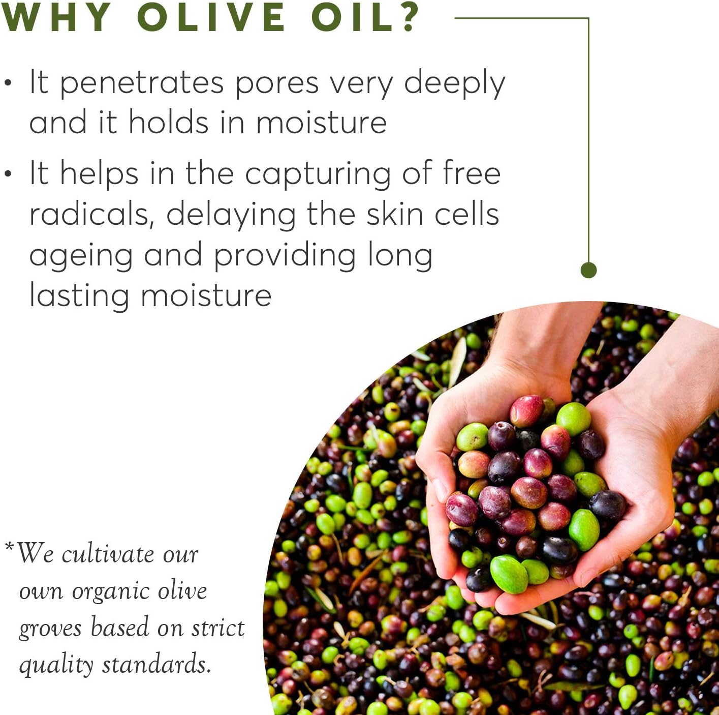 Aphrodite Olive Oil Soap Bundle. 6 Piece All Natural Soap Set Made Without Any Chemical Substances or Animal Fats. Antioxidant Infused Soap to Help Prevent Premature Ageing. Perfect for Sensitive Skin : Amazon.co.uk: Beauty