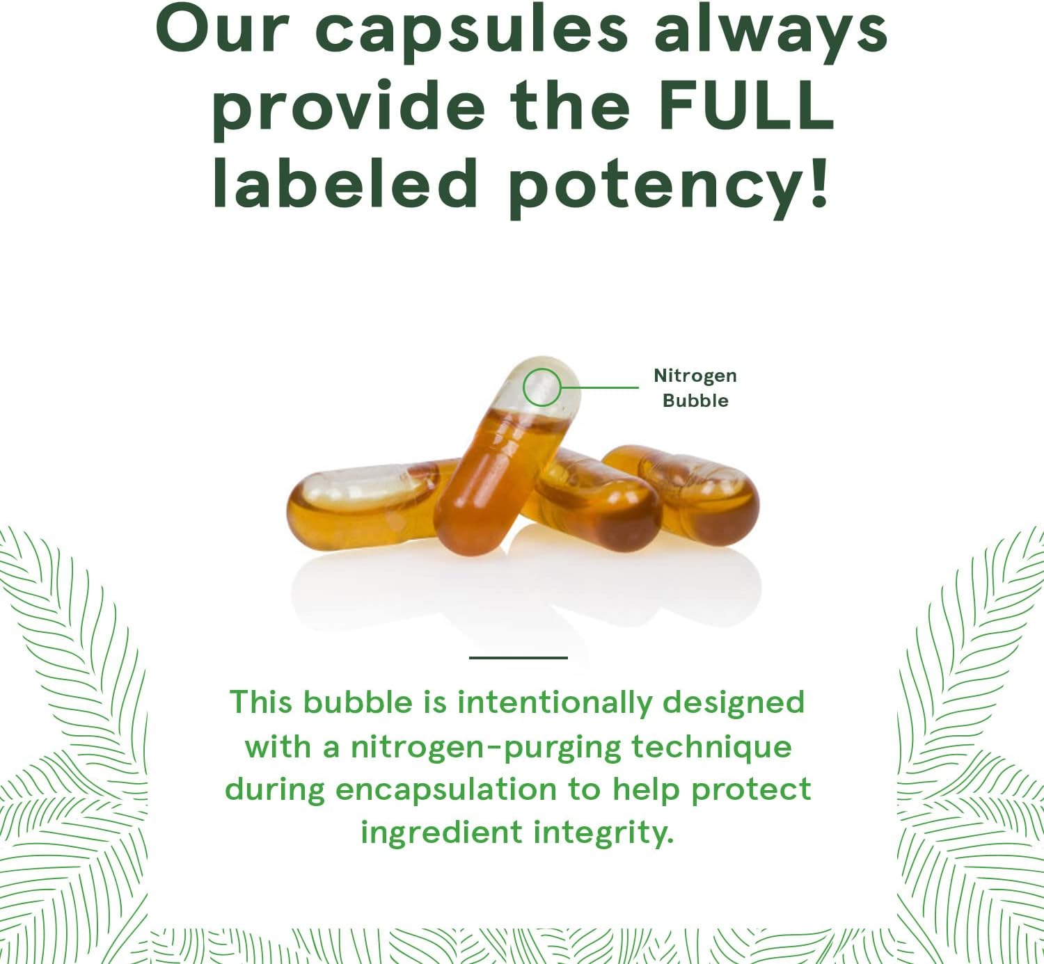 DEVA Nutrition Vegan Omega-3 DHA-EPA, from Micro Algae, Delayed Release, 90 Vegan Capsules, 1-Pack : Health & Household