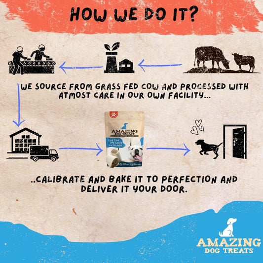 Amazing Dog Treats - Stuffed Shin Bone For Dogs (Peanut Butter Blend, 2-3 Inch - 8 Count) - All Natural Dog Bones