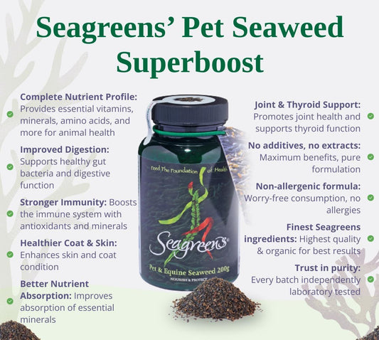 Seagreens Seaweed Supplement For Pets & Horses, 200G, 2 Weeks - 6 Months Supply, Natural Seaweed For Dogs, Cats & Equine, Granules, Daily Pet Nutrition Support, Vegan & Additive-Free
