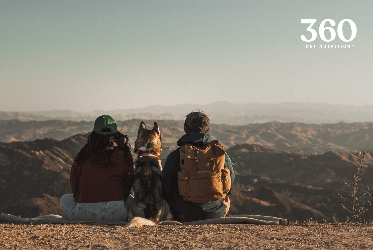 360 Pet Nutrition Freeze Dried Chicken Liver Raw Single Ingredient Treats, Made in The USA, 4 Ounce (Chicken Liver) : Pet Supplies