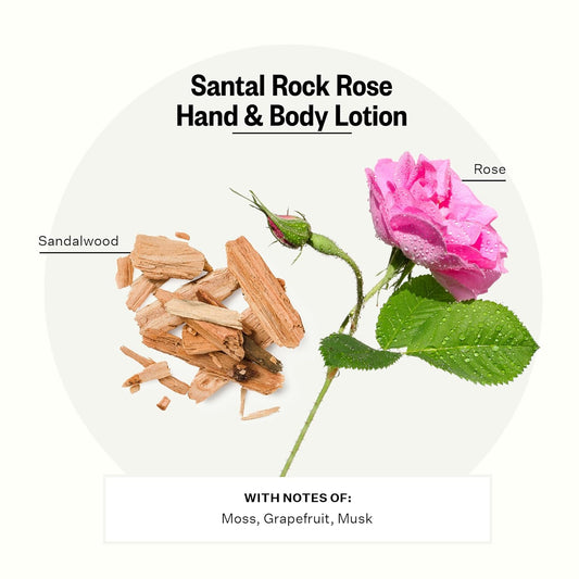 Apotheke Scented Hand & Body Lotion For Women & Men, Santal Rock Rose (10 Fl Oz)