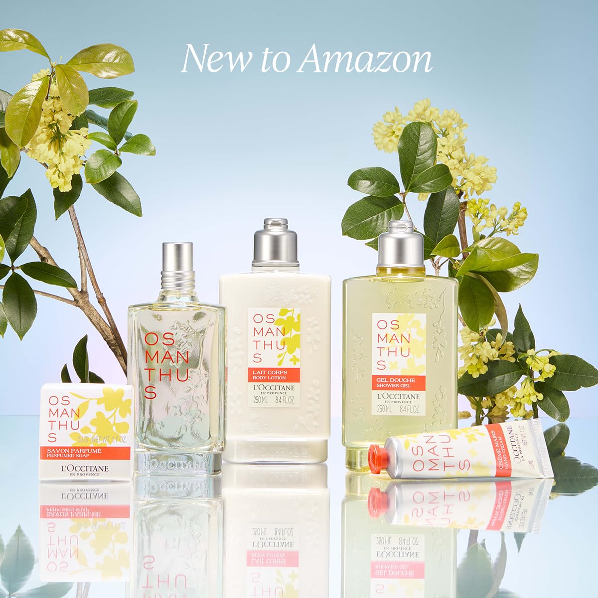 L'Occitane Rose Perfumed Soap 1.70 Oz : Beauty & Personal Care