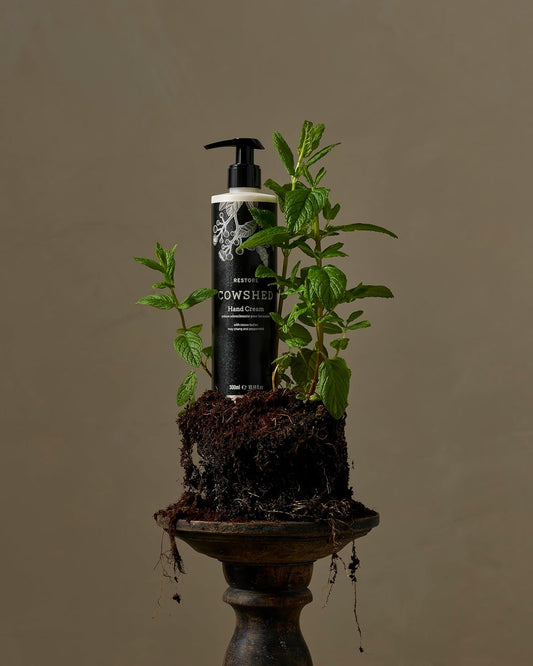 Restore Hand Cream 300ml : Amazon.co.uk: Beauty