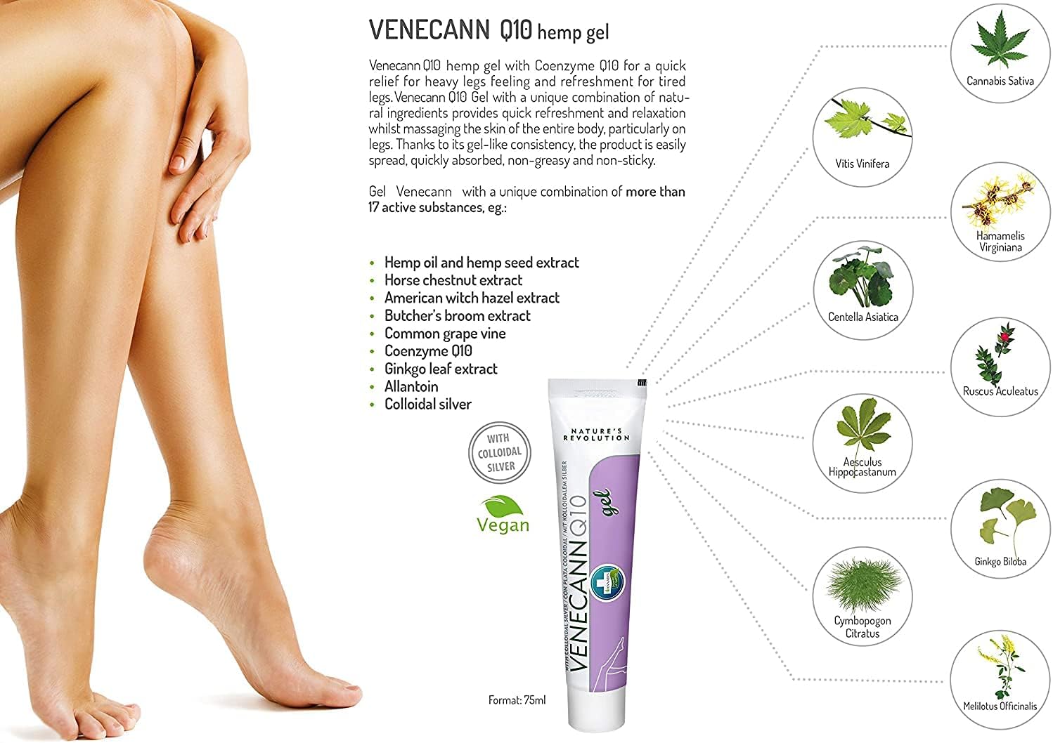 Annabis Venecann Q10 Natural Vegan Leg Gel - Varicose & Spider Veins Remedy - Tired & Heavy Legs Relief - Improve Blood Circulation & Capillary Health - Swollen & Stiff Knees & Ankles Relief : Beauty & Personal Care