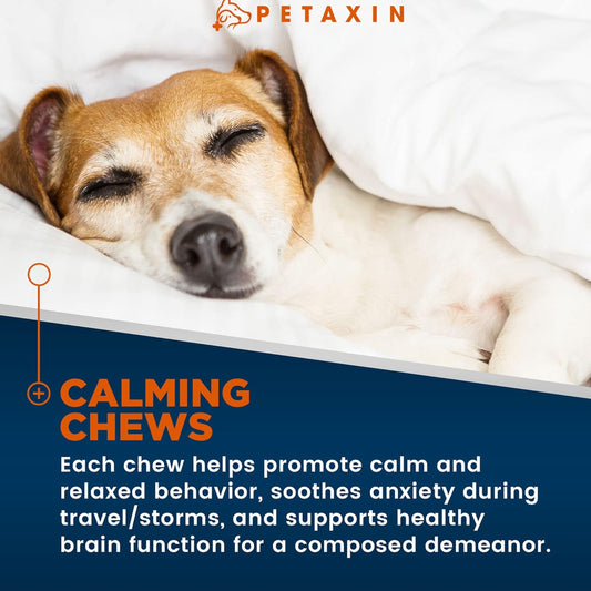 2 Pack Petaxin Calming Treats For Dogs - Stress & Anxiety Relief For Dogs - Supports Calm & Relaxed Behavior - Calming Chews For Dogs With Chamomile, Ginger, & More For Barking, Fireworks - 240 Chews