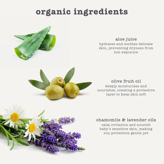 Erbaviva Organic Baby Sunscreen 2.5 Ounce - Coral Reef Safe, Natural, Uva & Uvb Protection, Water Resistant, Infused With Essential Oils