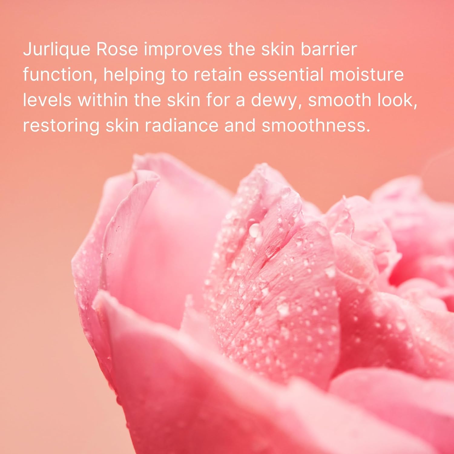 Jurlique - Rare Rose Lotion 50Ml : Beauty & Personal Care