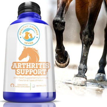 All-Natural Horse Arthritis Support - Helps Prevent Stiffness, Joint Pain & Lameness - Joint Supplements For Horses - Homeopathic & Highly Effective - 300 Tablets