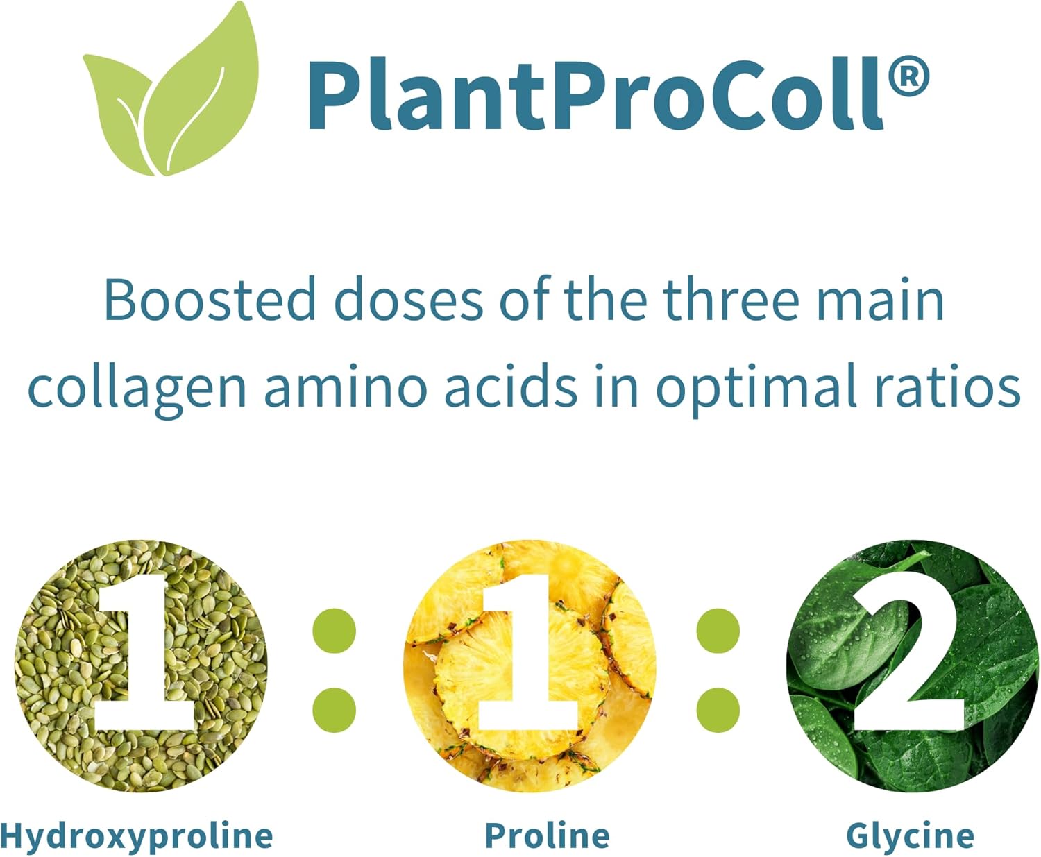 Advanced Vegan Vanilla Collagen Peptide Powder, Enhanced With Glycine, Proline & Hydroxyproline & Cofactor Vitamin C, Non Gmo, Vegetarian Plant Based Collagen Powder Booster, 35 Servings, By Igennus : Health & Household