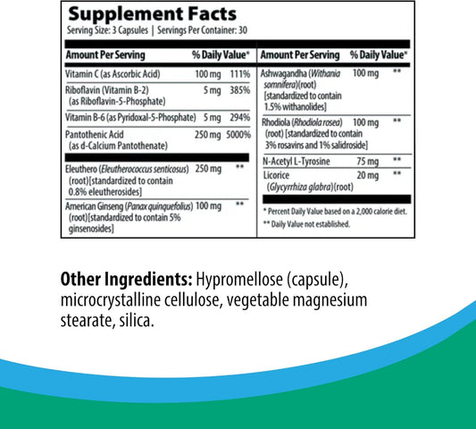 Rootcology By Dr. Izabella Wentz | Adrenal Support | Adaptogenic Herbal Formula With Vitamin B6, Licorice & N-Acetyl-L-Tyrosine | 90 Capsules