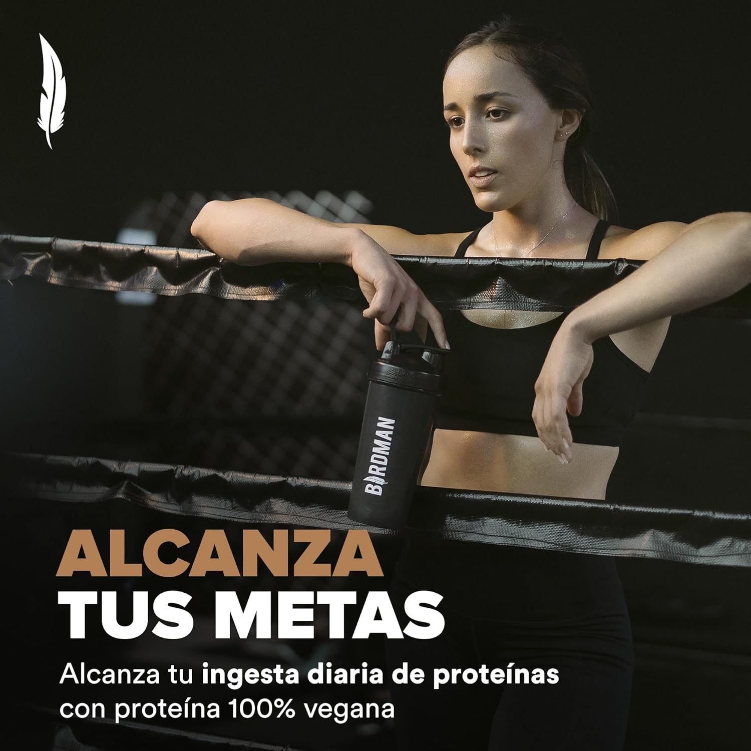 Birdman Falcon Performance Premium Sport Protein Powder Plus Creatine, 31G Protein And 5G Creatine Per Serving, No Inflammation, No Acne, Chocolate Flavor | 1.9Kg : Health & Household