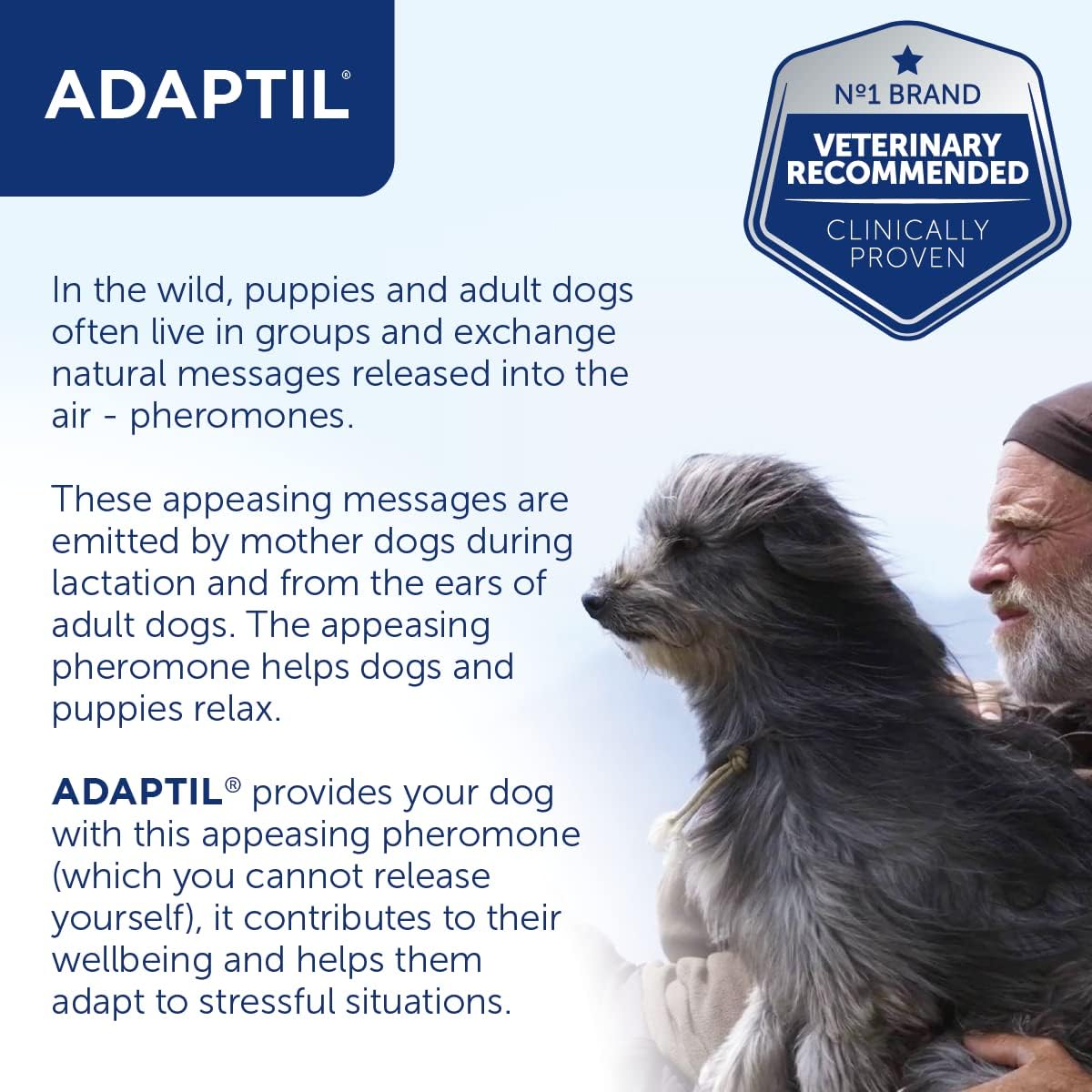 Adaptil Calm-On-The-Go Collar For Dogs Medium / Large, Adaptil Calming Dog Collar Helps Reduce Dog Anxiety With Natural Pheromones, Dog Calm Collar Helps To Reduce Stress And Behavioural Issues : Amazon.co.uk: Pet Supplies