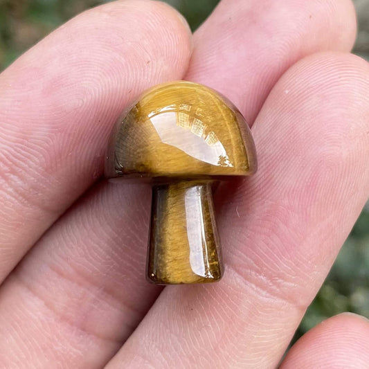 5Pcs Mini Mushroom Shaped Gemstone Statue Figurine, Carved Crystal Stone Mushrooms Crafts For Healing Chakra Reiki Balancing Home Decoration, Tiger'S Eye Stone